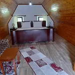 Bujtina Ahmetaj